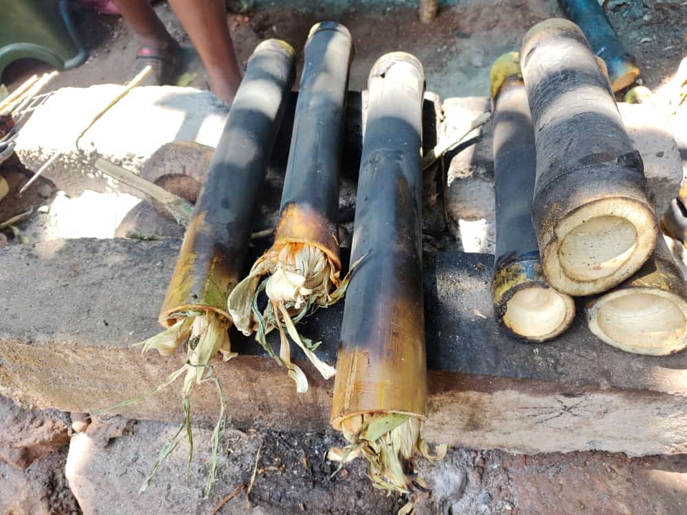 Coffee Plantations of Araku