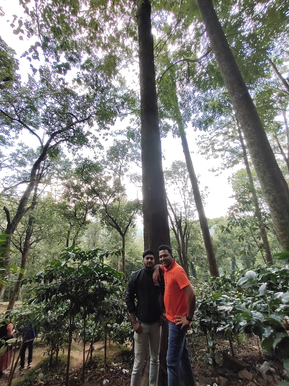 Coffee Plantations of Araku