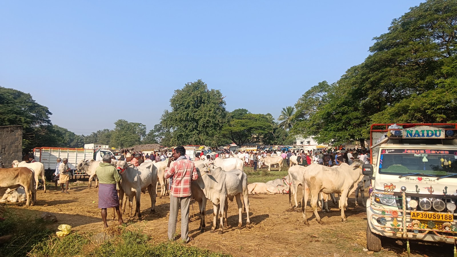 Local Village Markets Kothavalasa