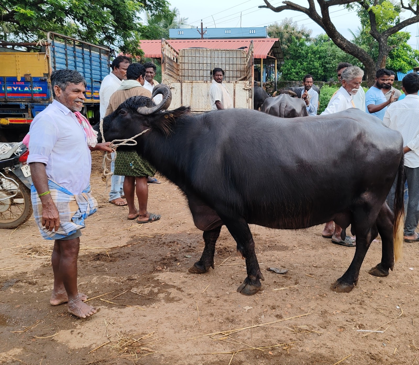 Local Village Markets Kothavalasa