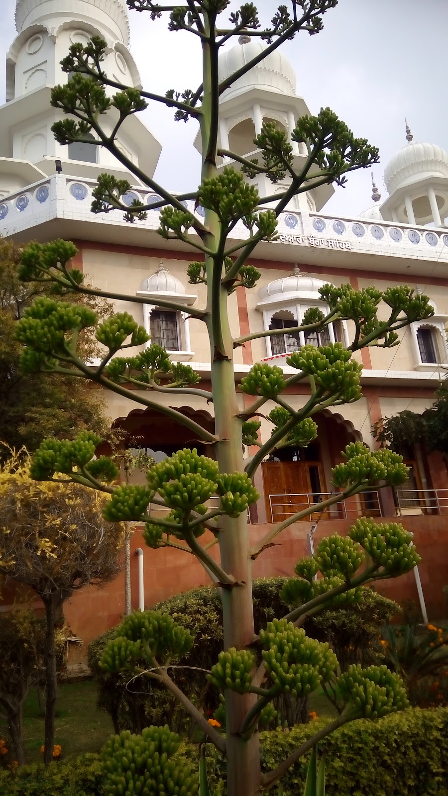 Gurudwara Bunga Sahib
