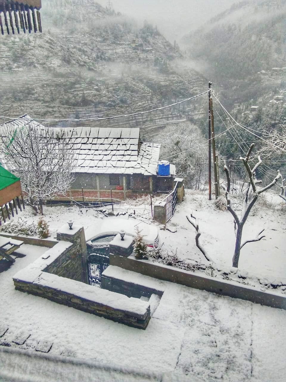 Apple Blossom Trails