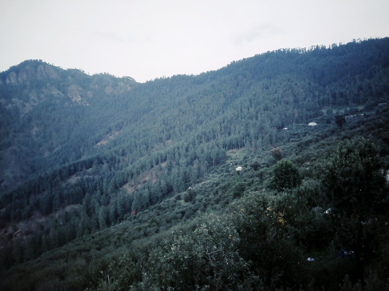 Kotkhai - A Hidden Gem in Himachal Pradesh