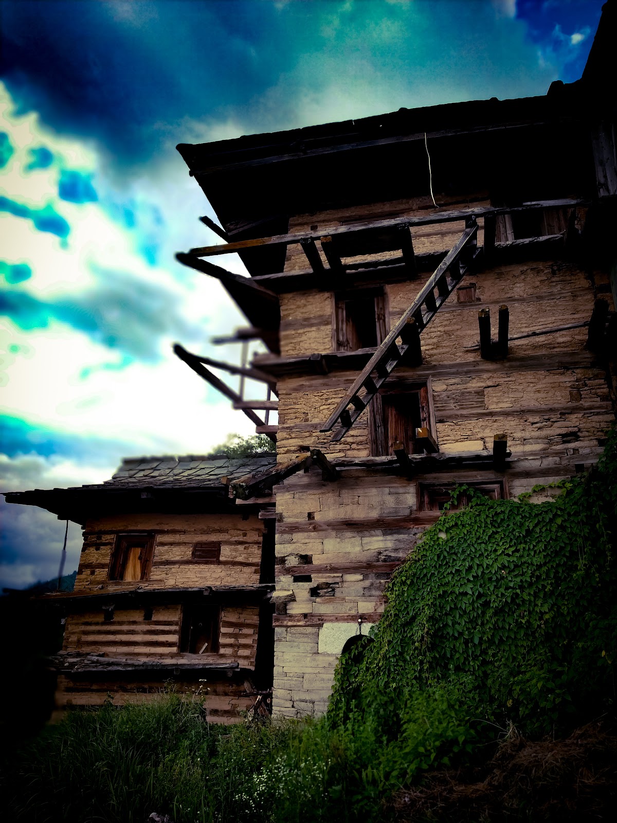 Kotkhai Apple Orchards