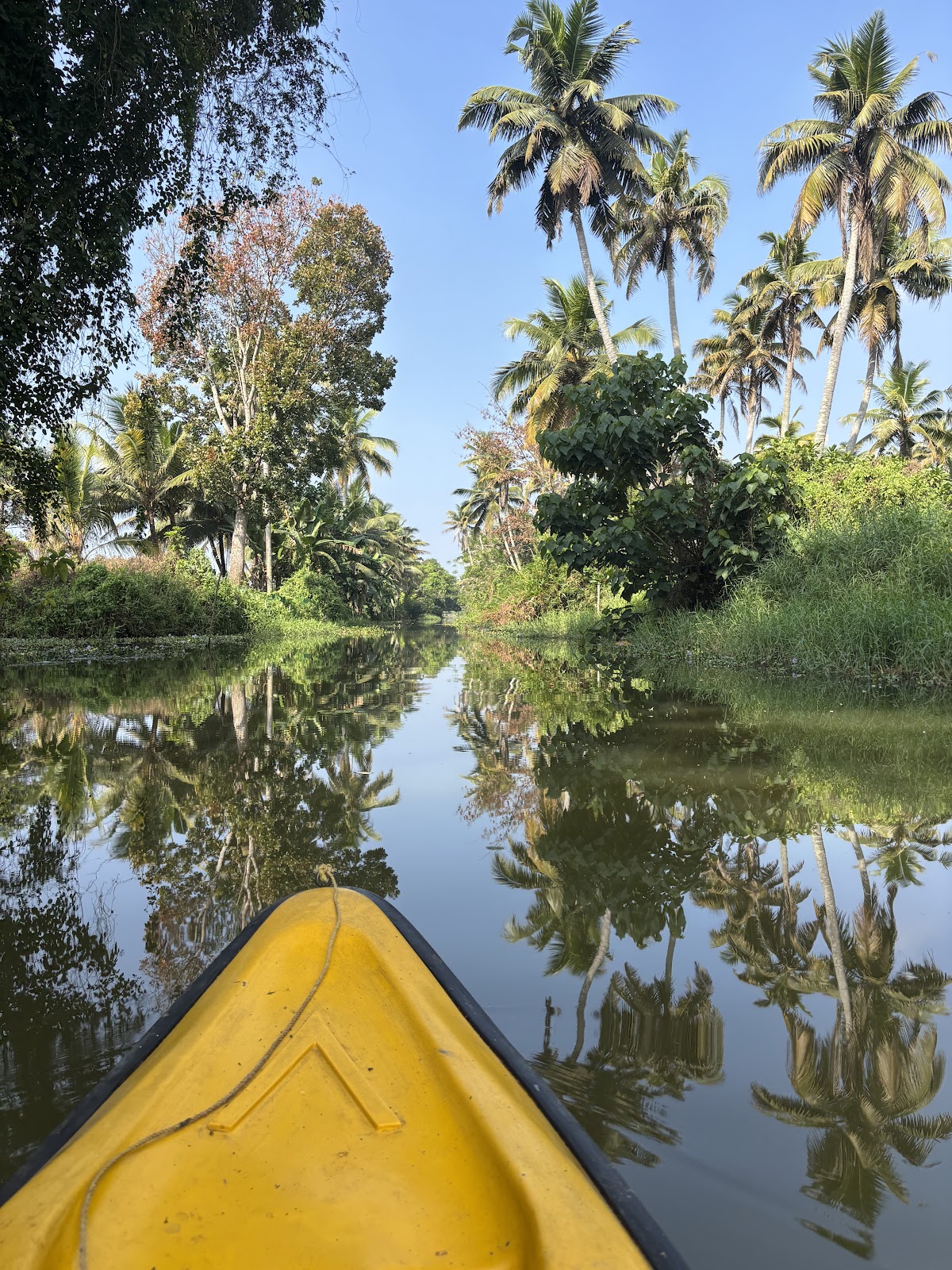 Kottayam Backwaters