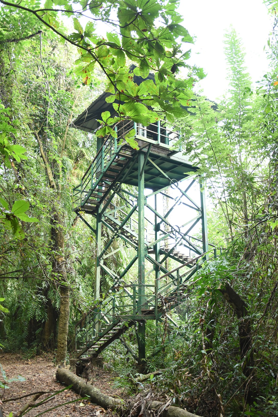 Kumarakom Bird Sanctuary