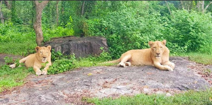 Neyyar Wildlife Sanctuary
