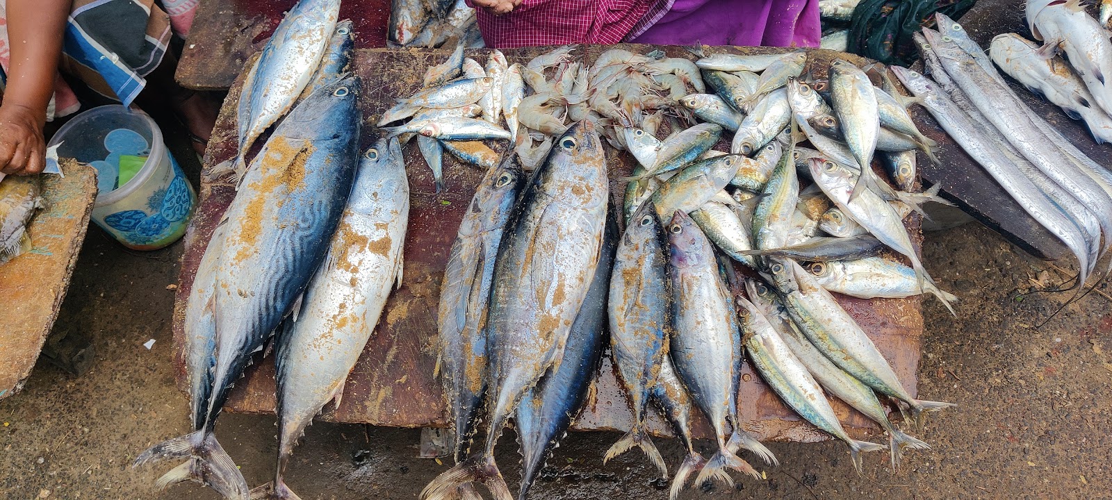 Local Kovalam Market