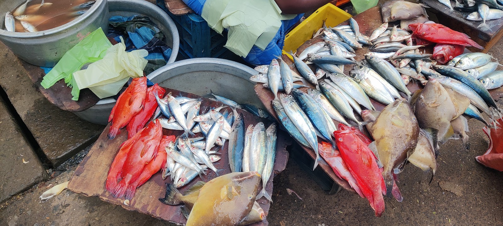 Local Kovalam Market