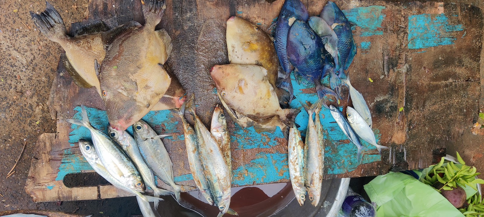 Local Kovalam Market
