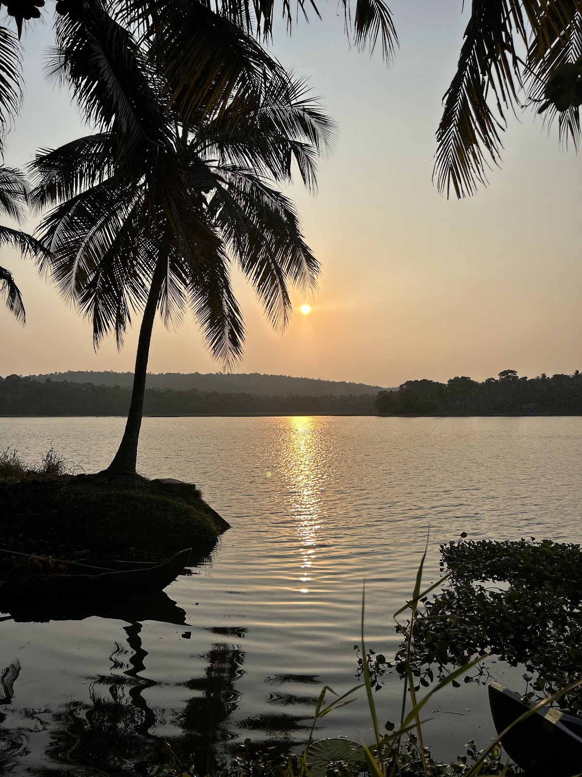 Vellayani Lake