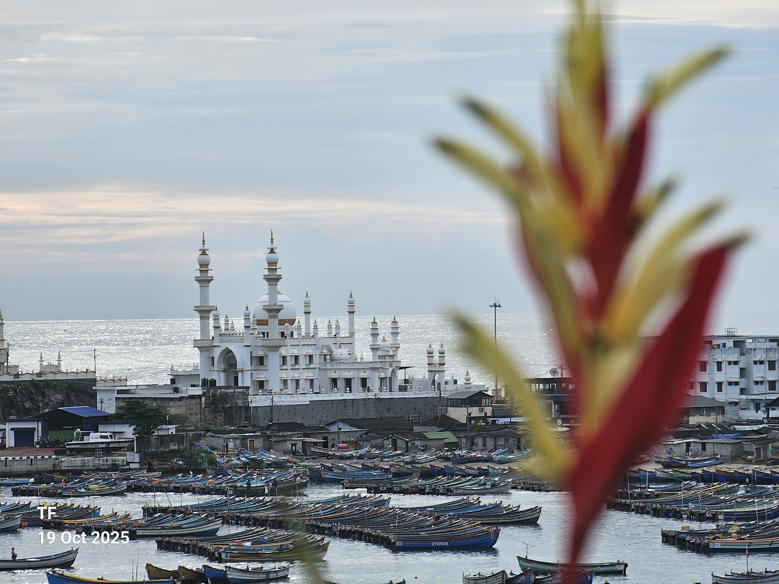 Vizhinjam Harbour Viewpoint