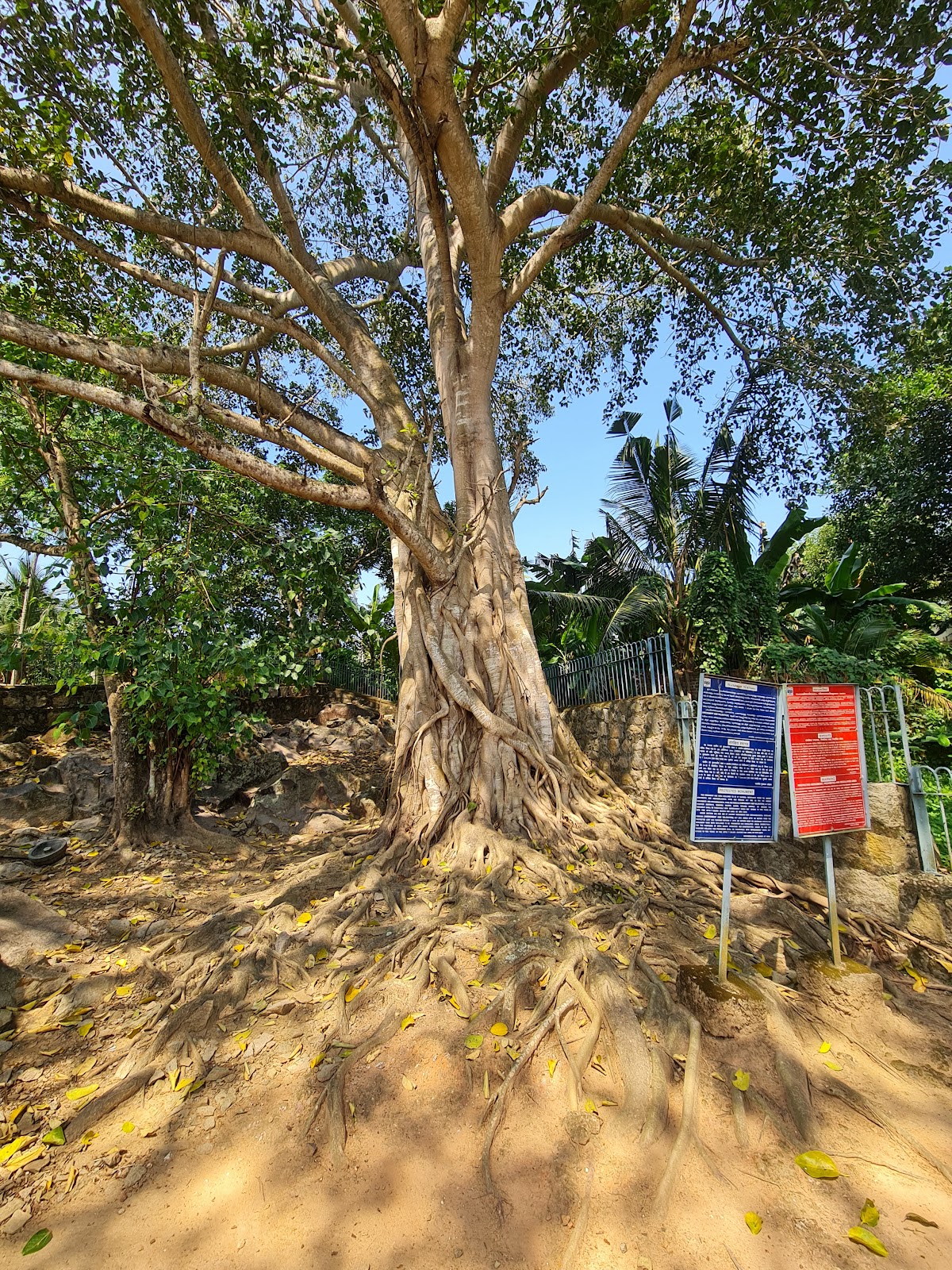 Vizhinjam Rock Cut Cave Temple