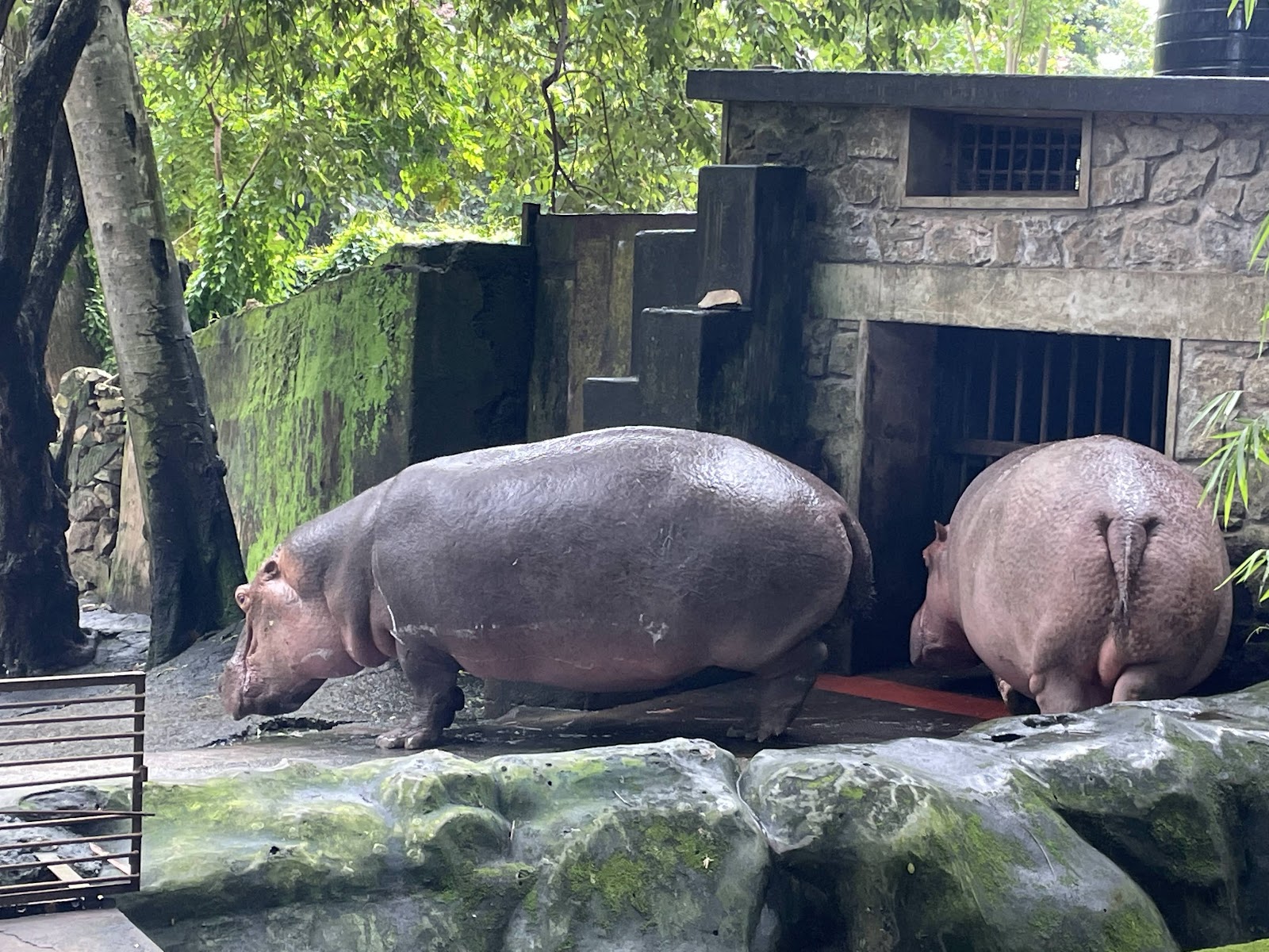 Thiruvananthapuram Zoo