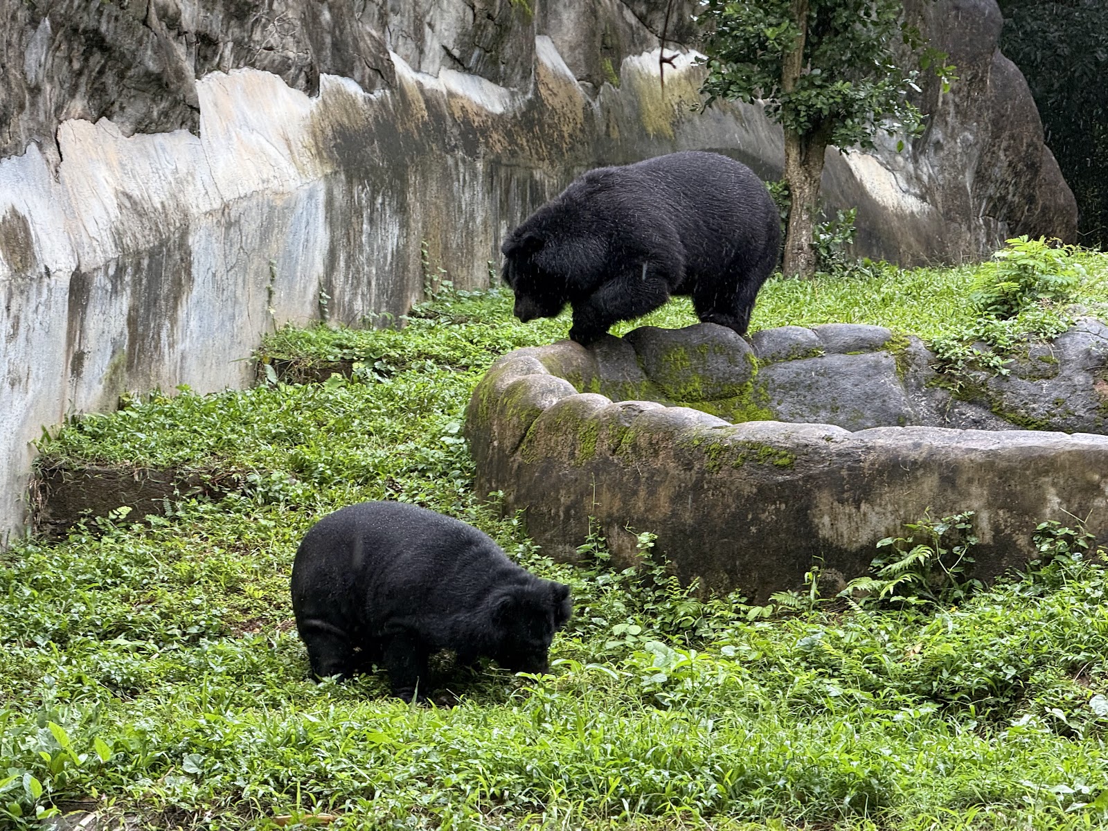 Thiruvananthapuram Zoo