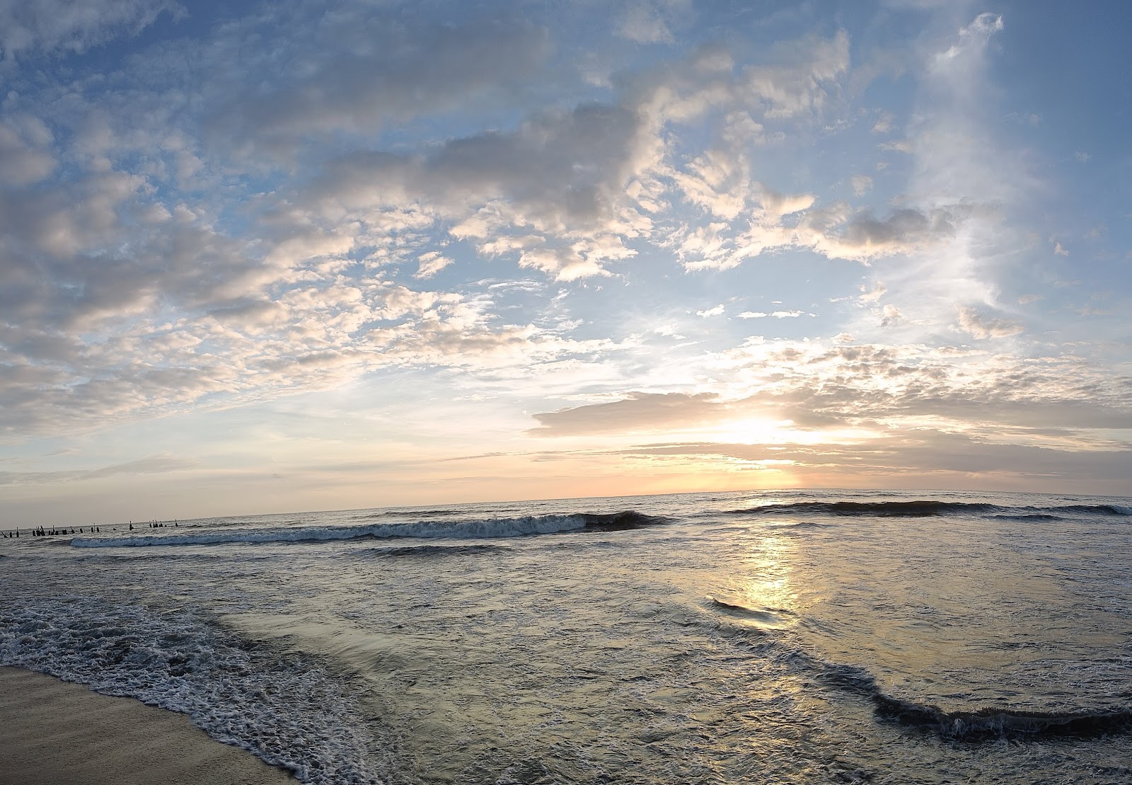 Kozhikode - Explore the Cultural and Culinary Delights of Kerala