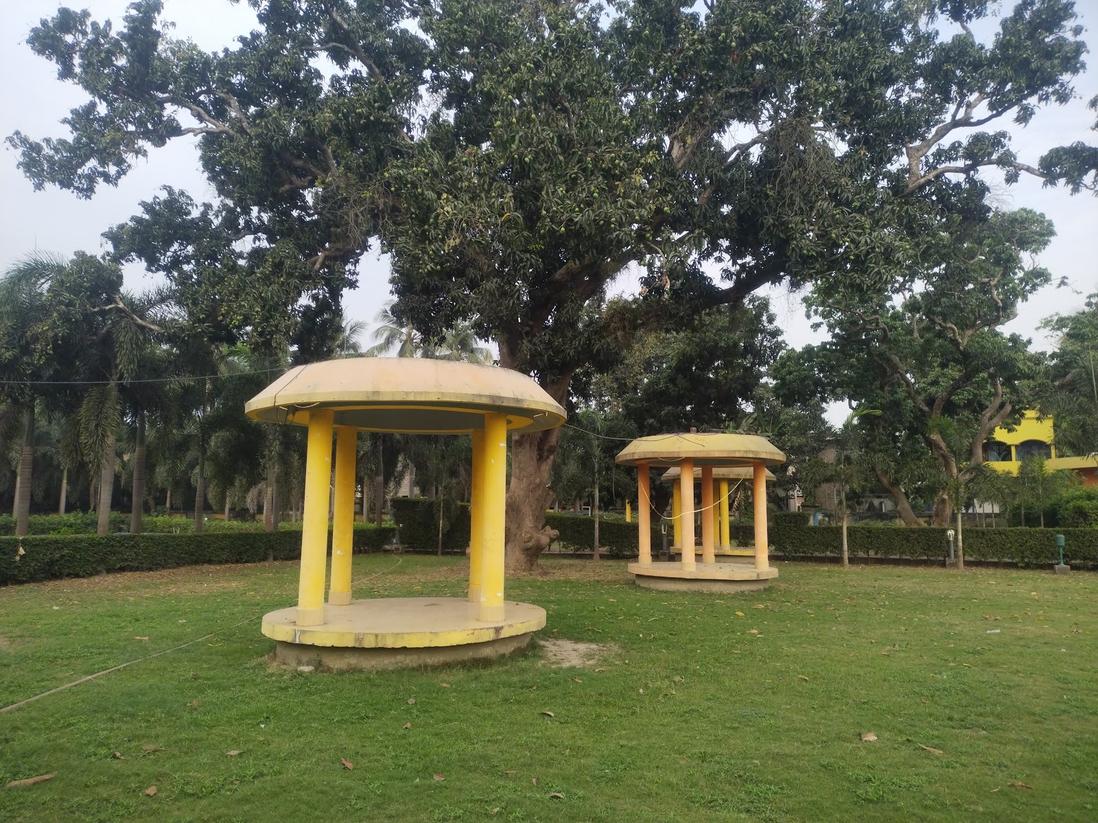 Krishnanagar Museum