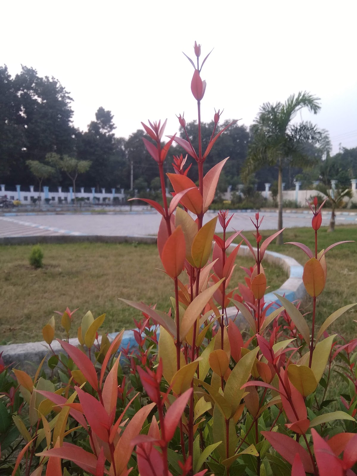Krishnanagar Park