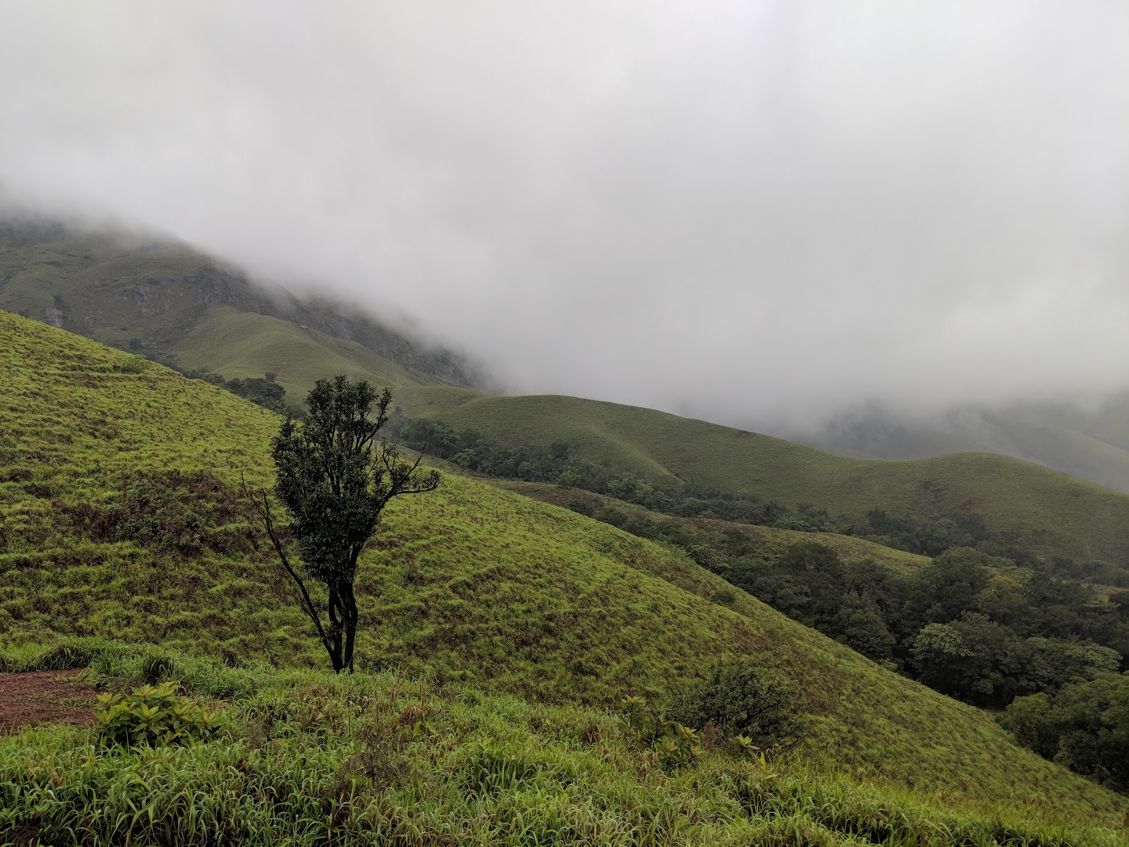 Kudremukh Peak