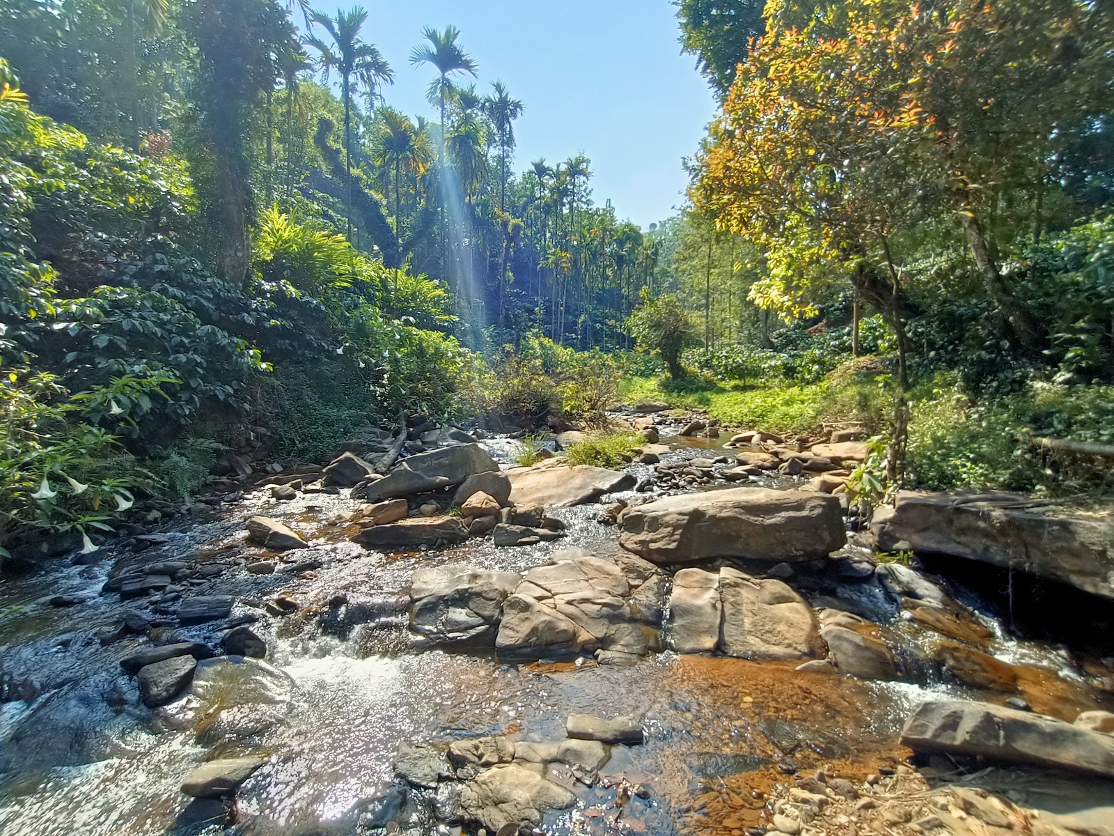 Kudremukh Peak