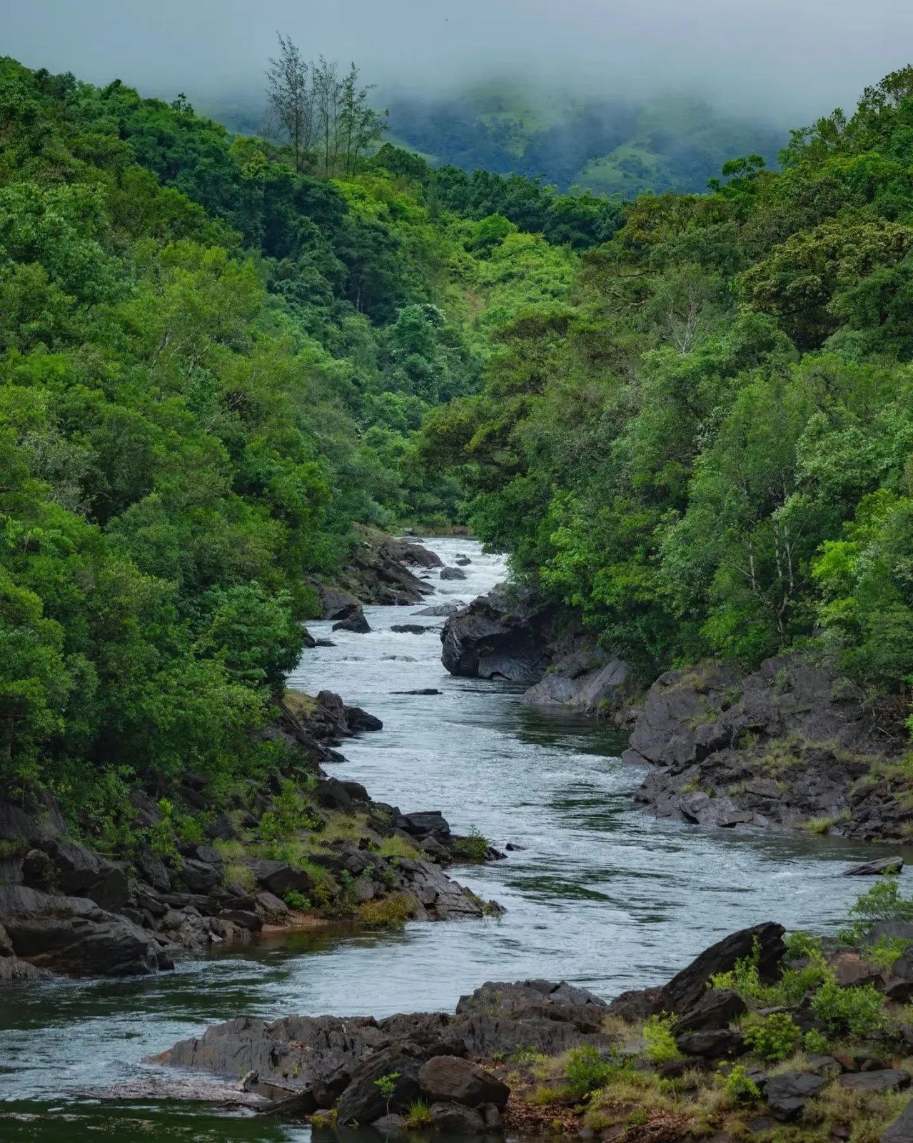 Kudremukh Peak