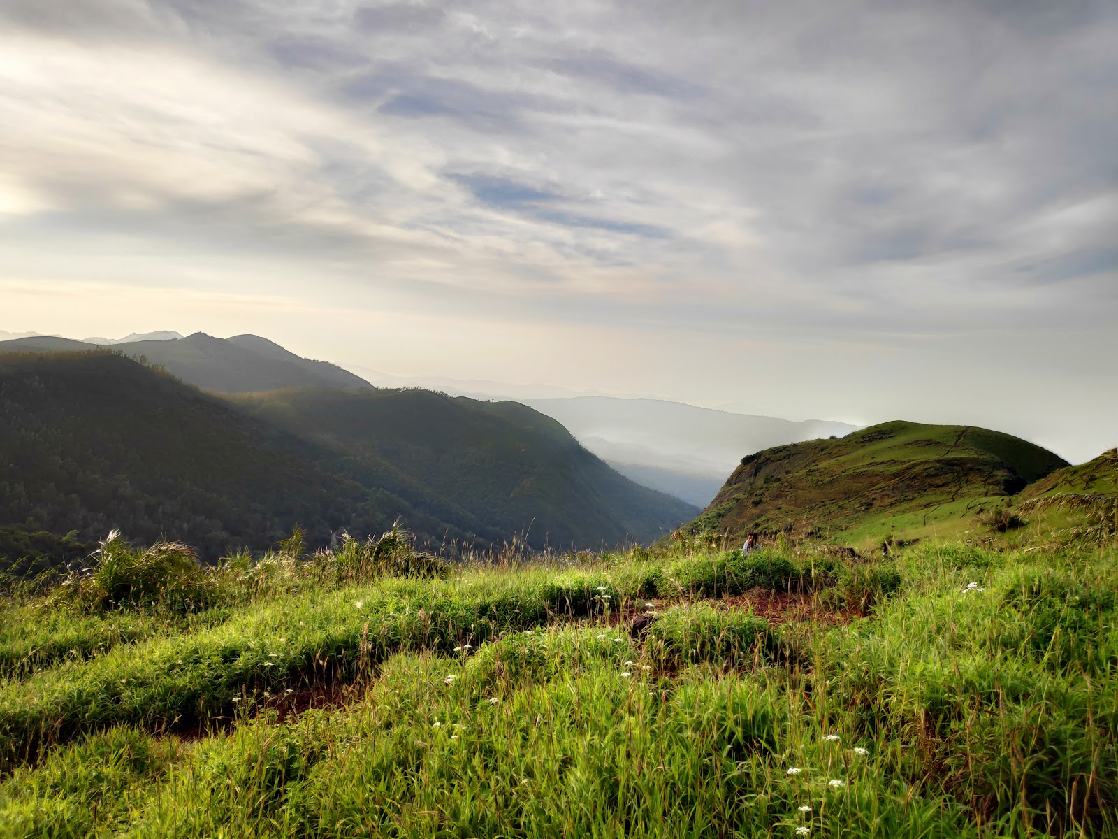 Bhadra Wildlife Sanctuary