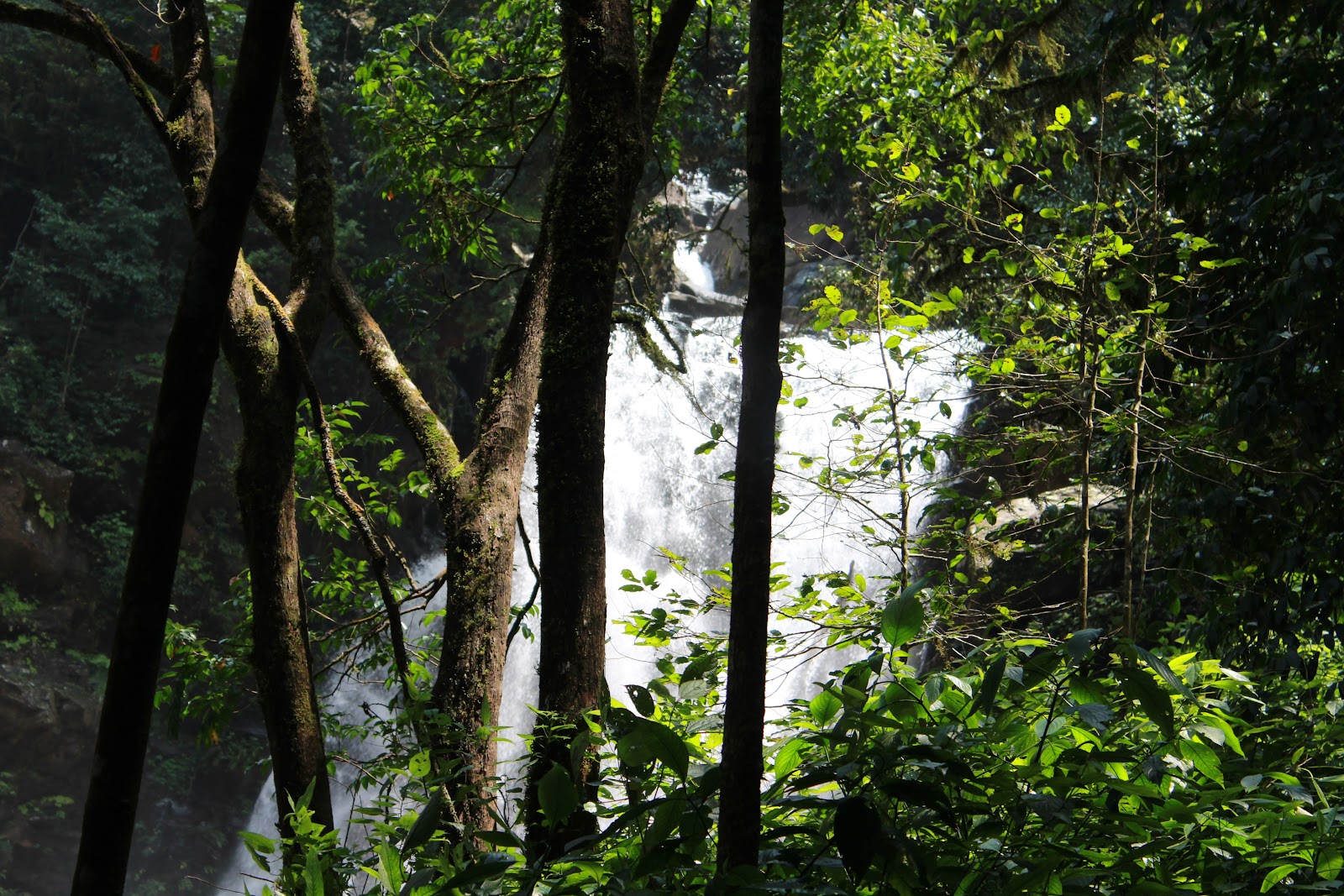 Hanuman Gundi Falls