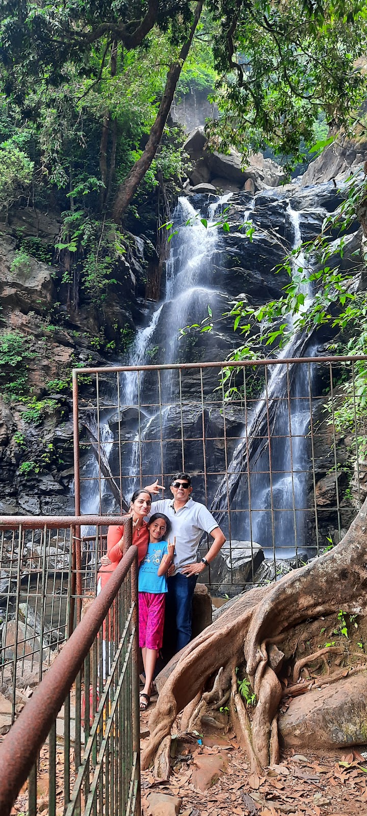 Hanuman Gundi Falls