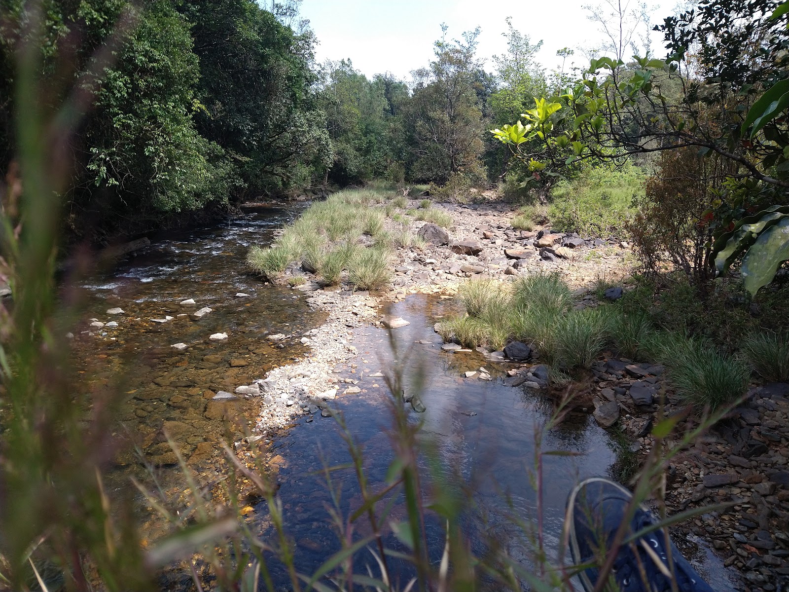 Kudremukh National Park