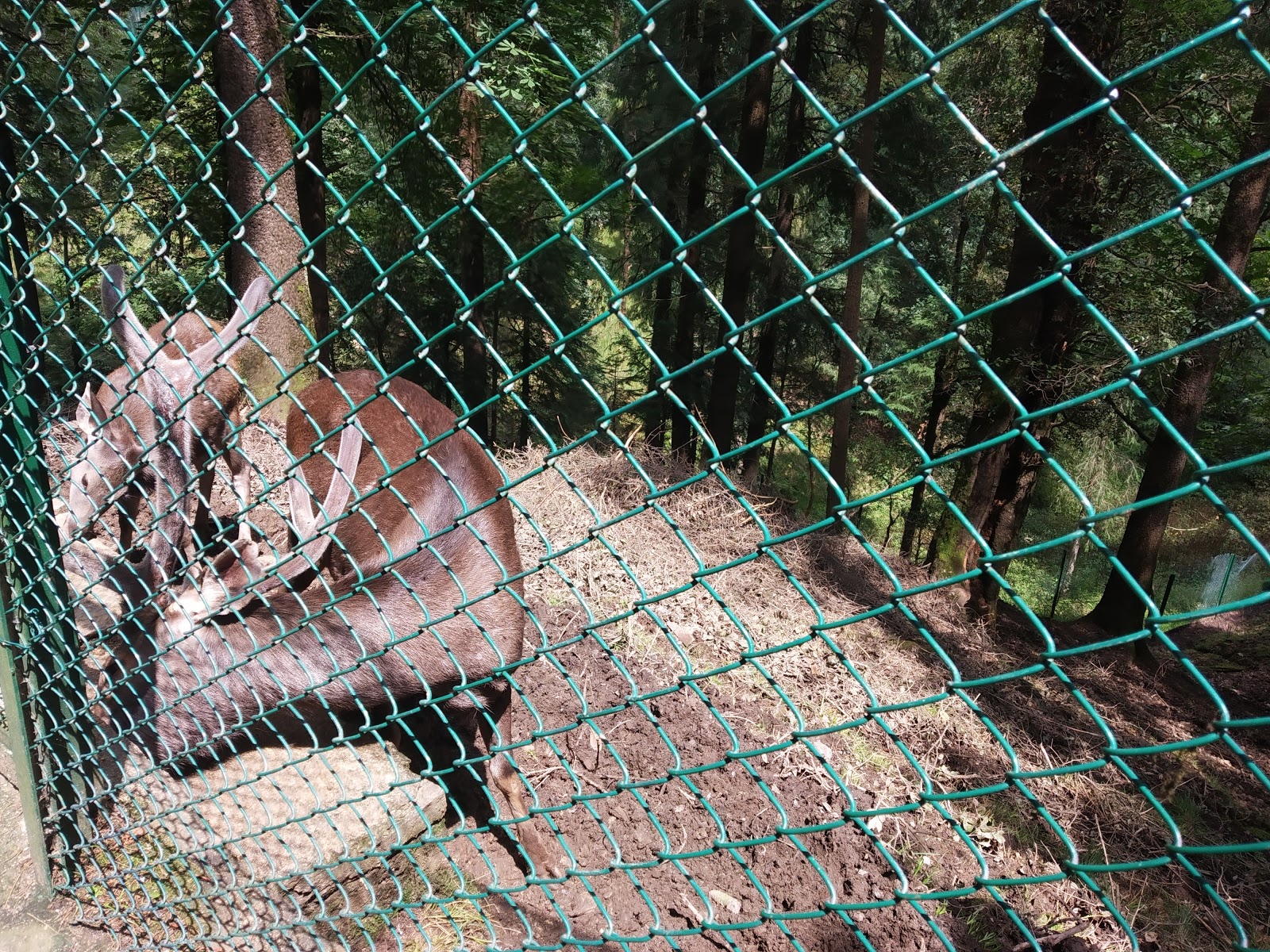 Himalayan Nature Park