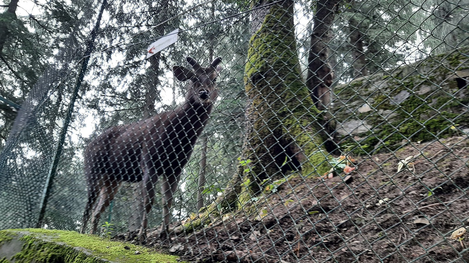 Himalayan Nature Park