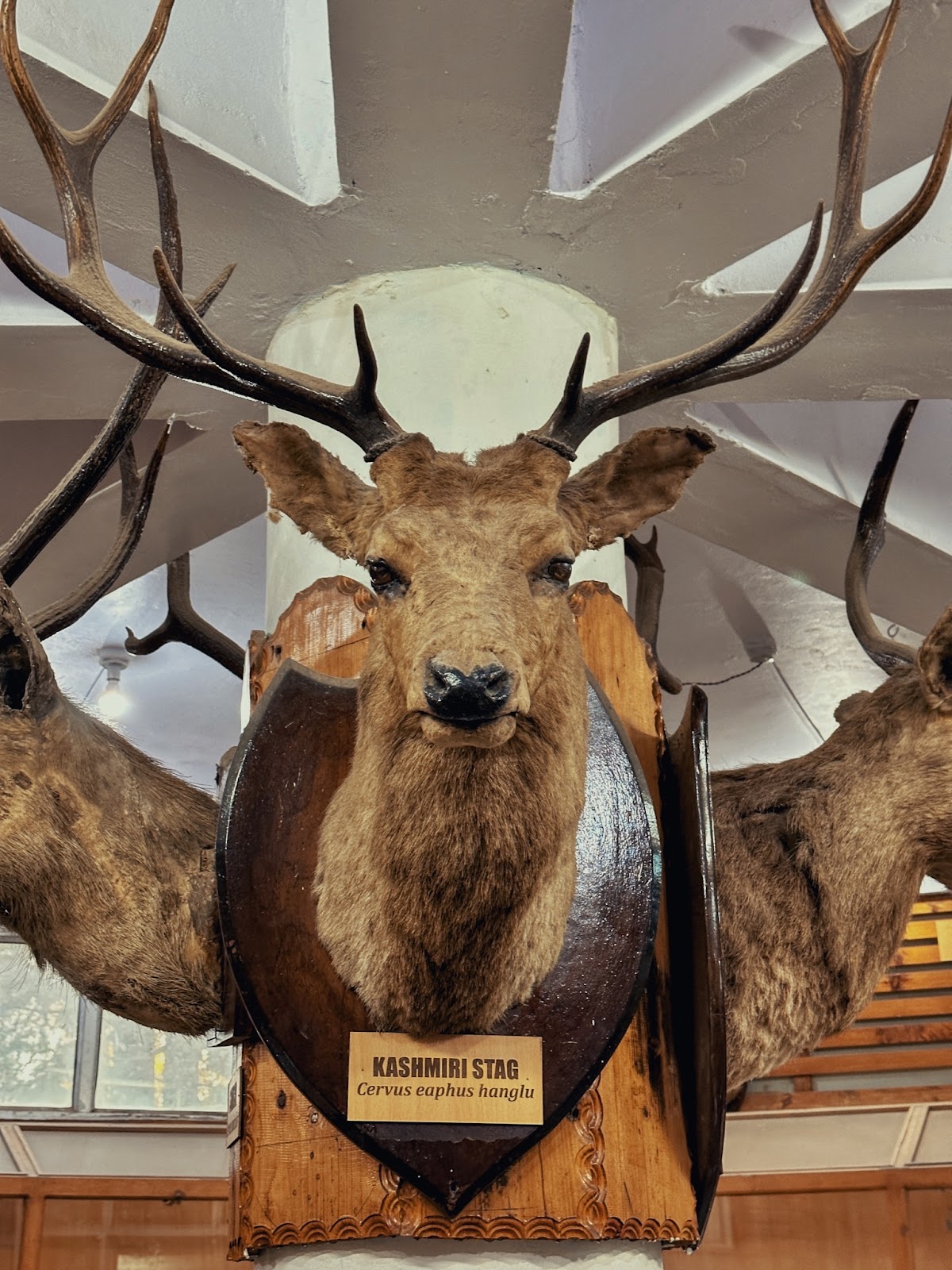 Himalayan Nature Park