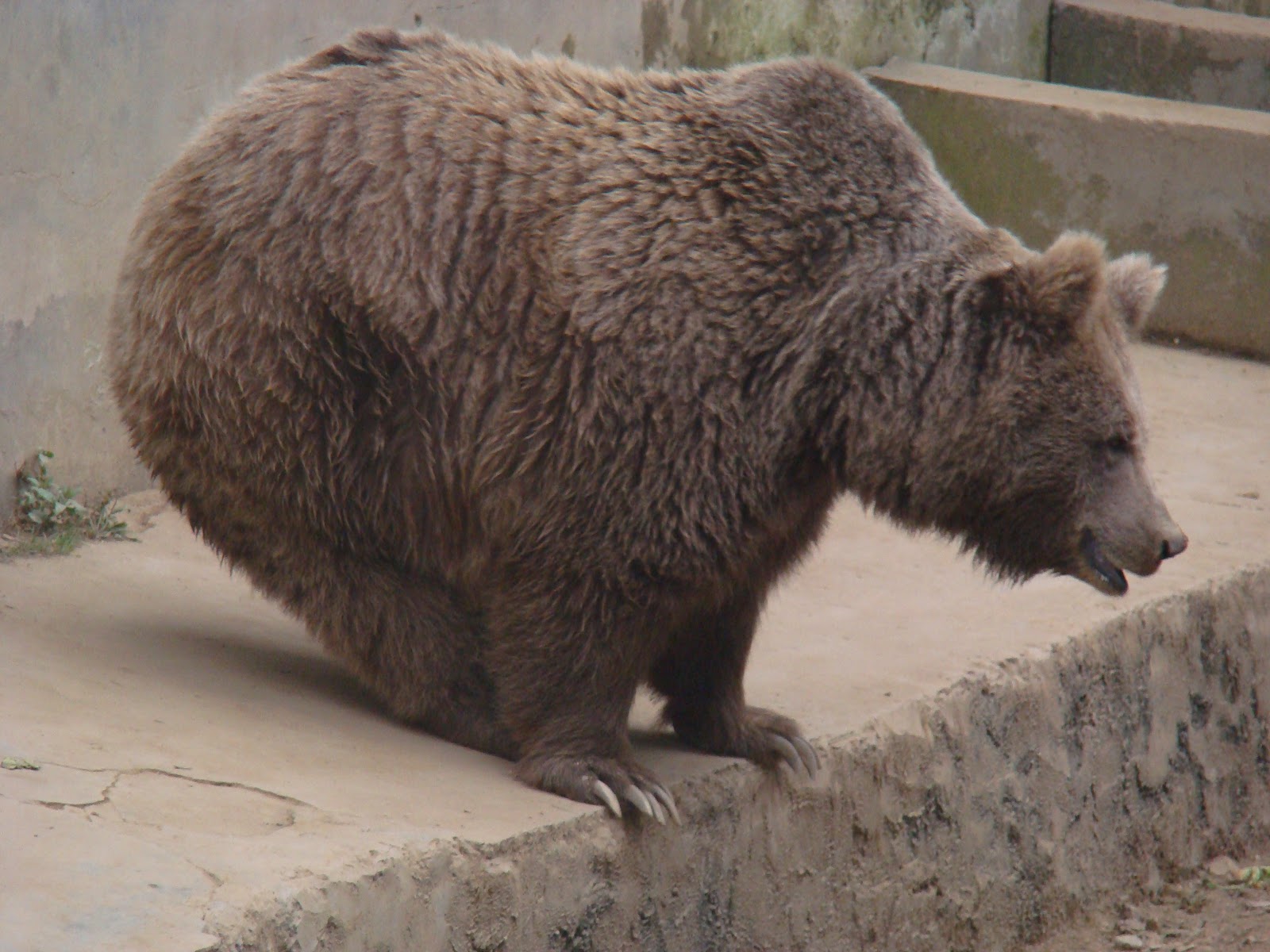 Himalayan Nature Park