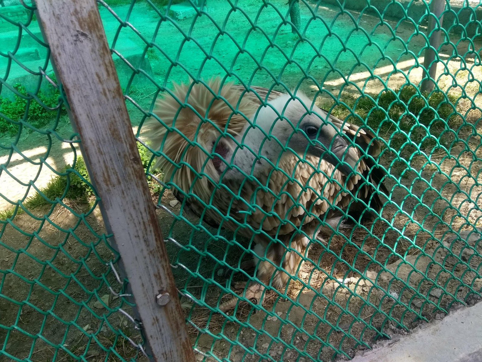 Himalayan Nature Park