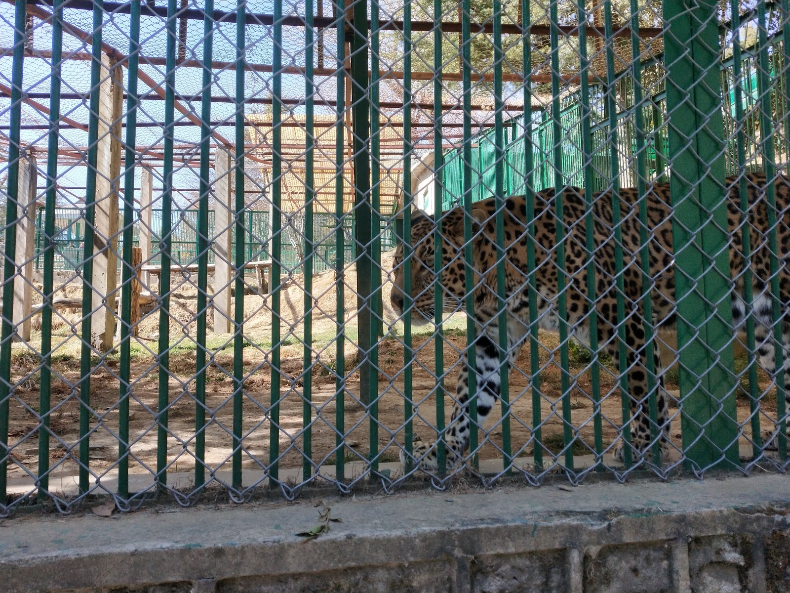 Himalayan Nature Park