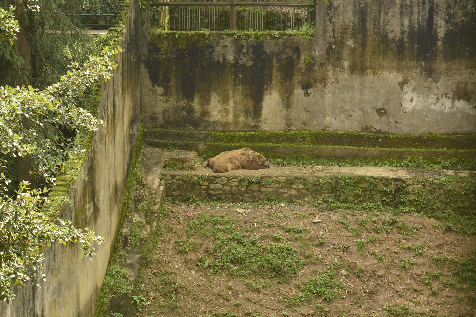 Himalayan Nature Park