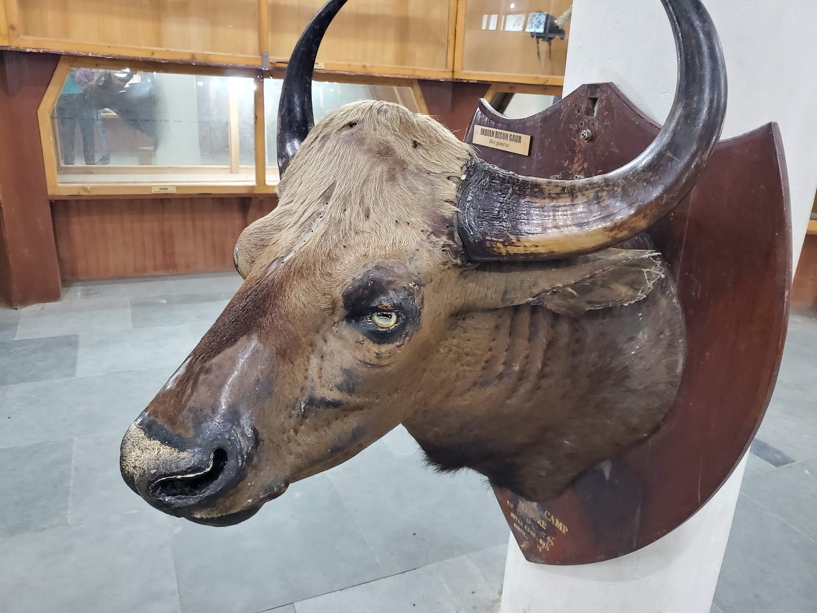 Himalayan Nature Park