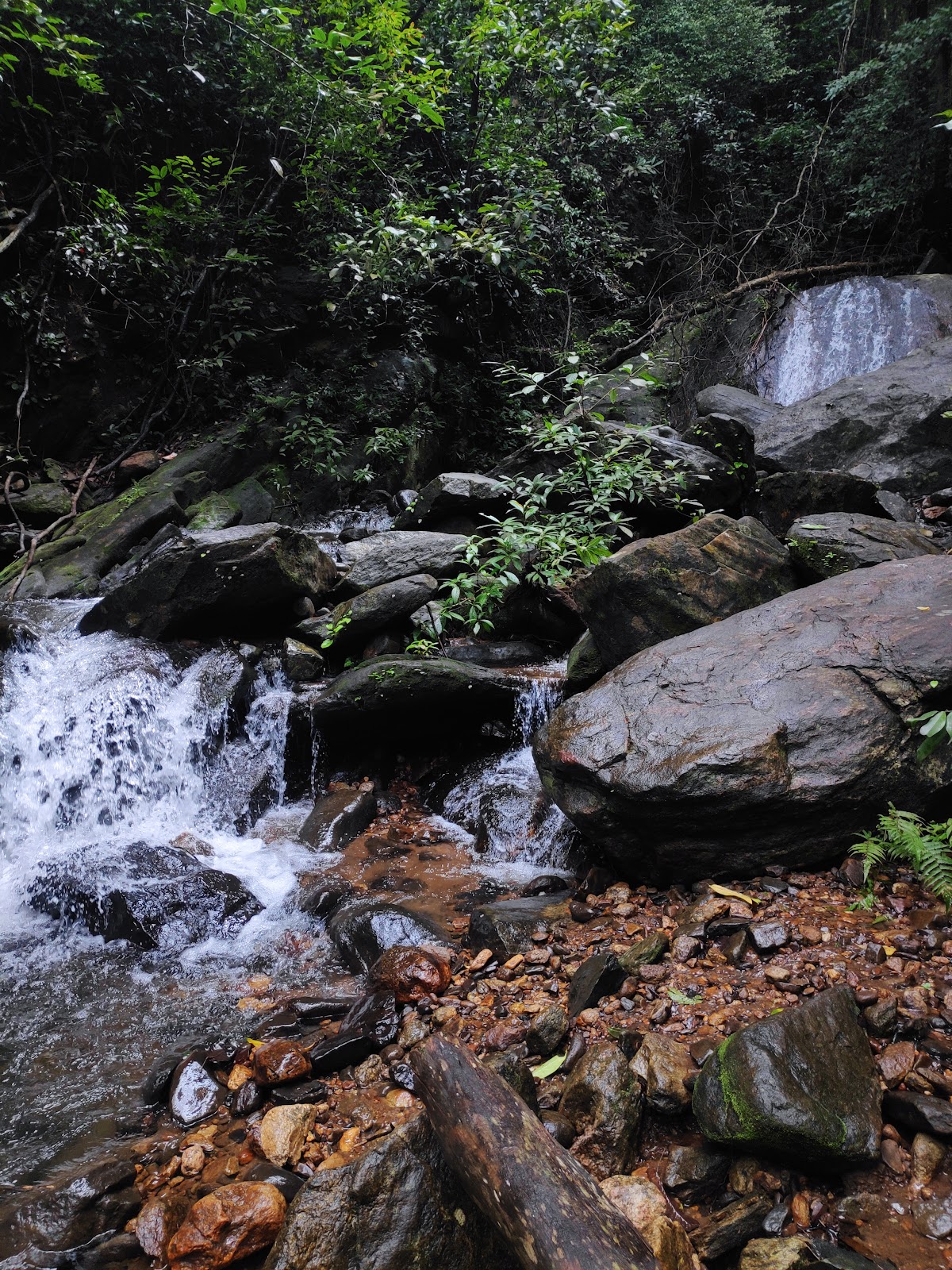 Kumaraparvatha Trek