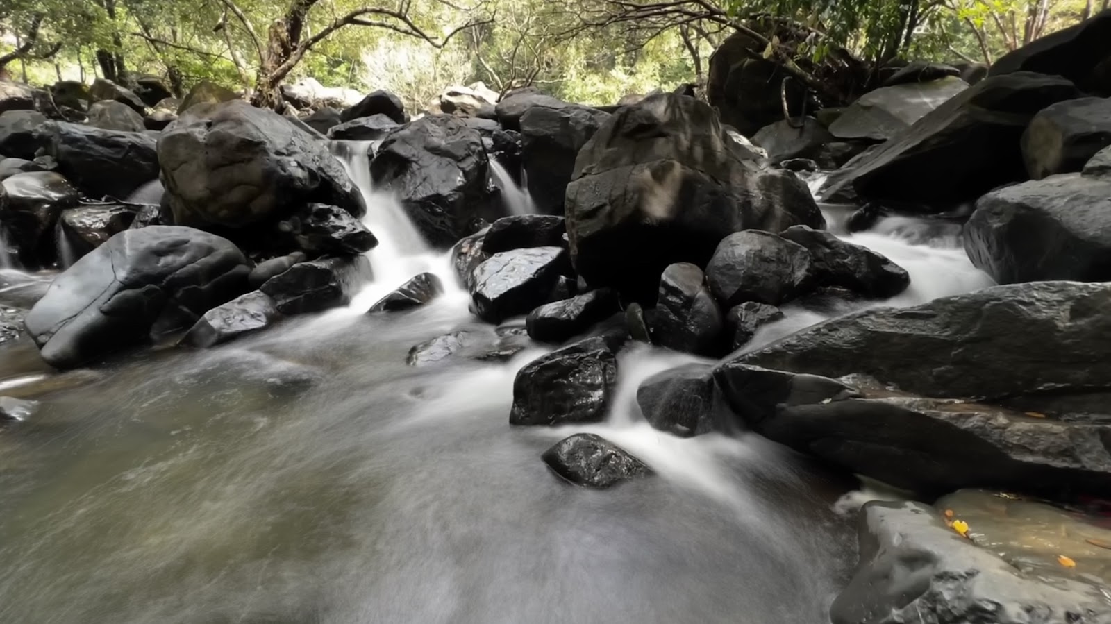 Bhagwan Mahavir Wildlife Sanctuary