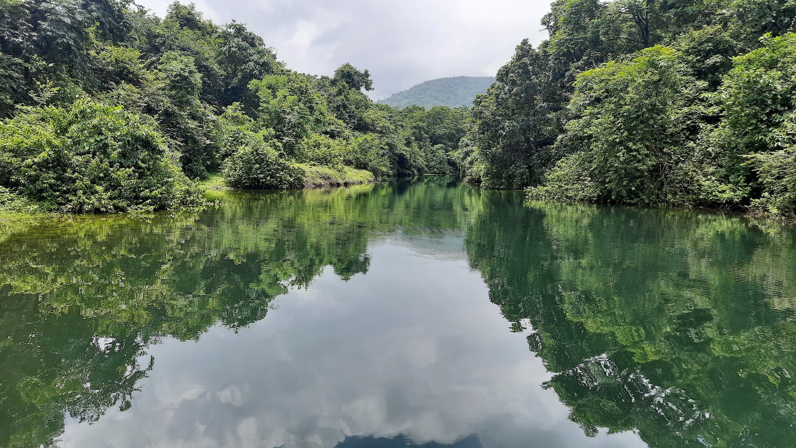 Mollem National Park