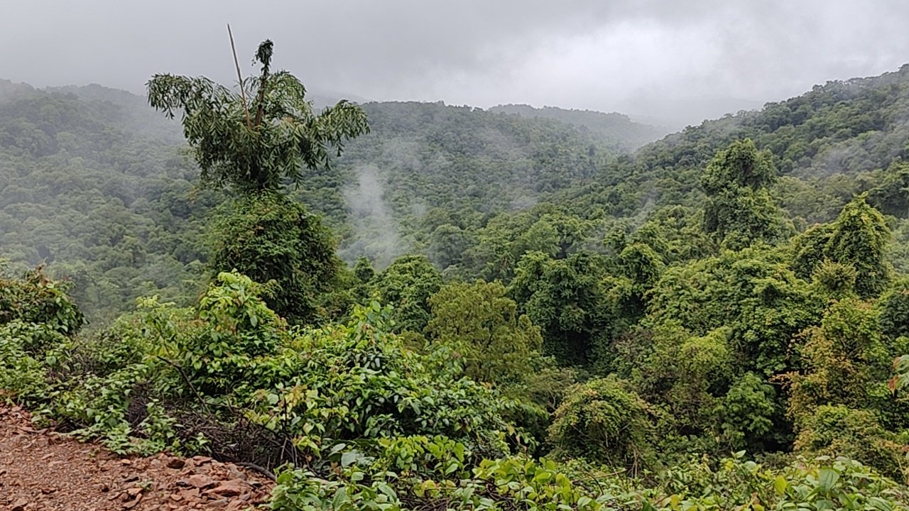 Netravali Wildlife Sanctuary