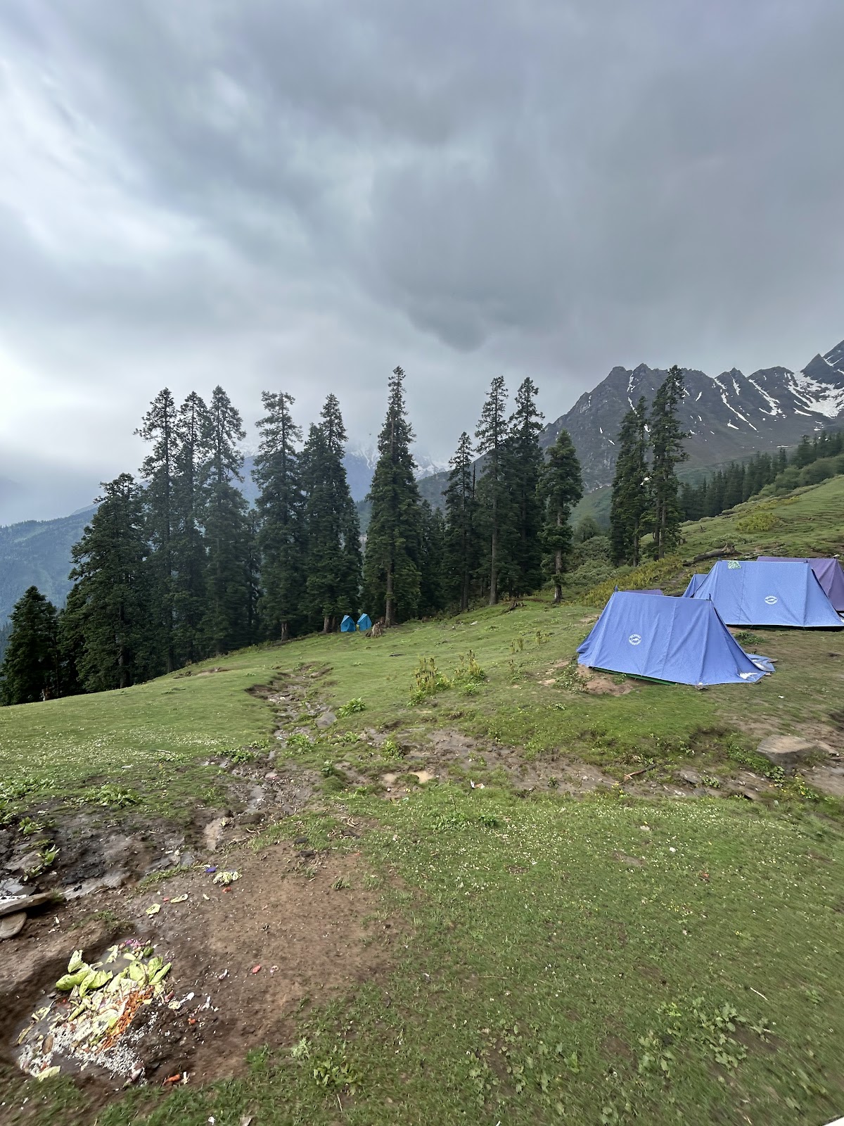 Great Himalayan National Park
