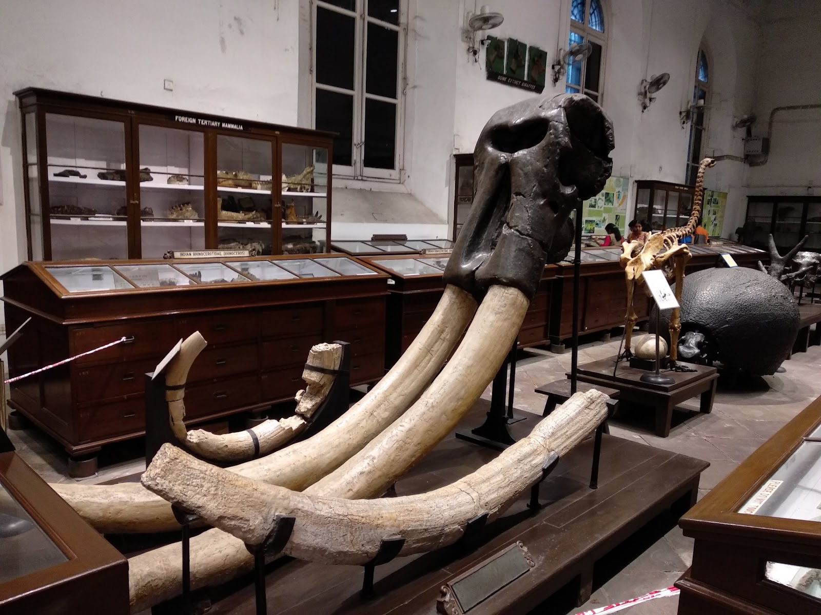 Bengal Heritage Museum