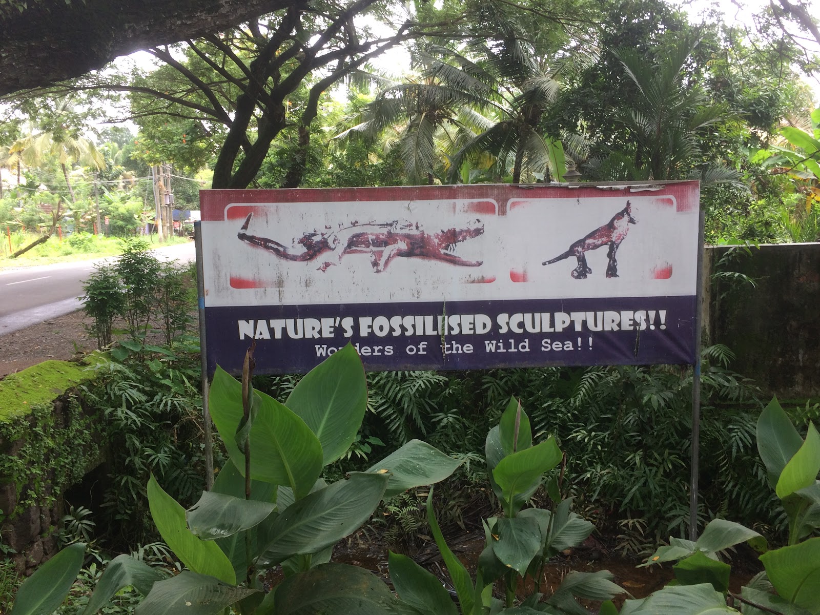 Bay Island Driftwood Museum