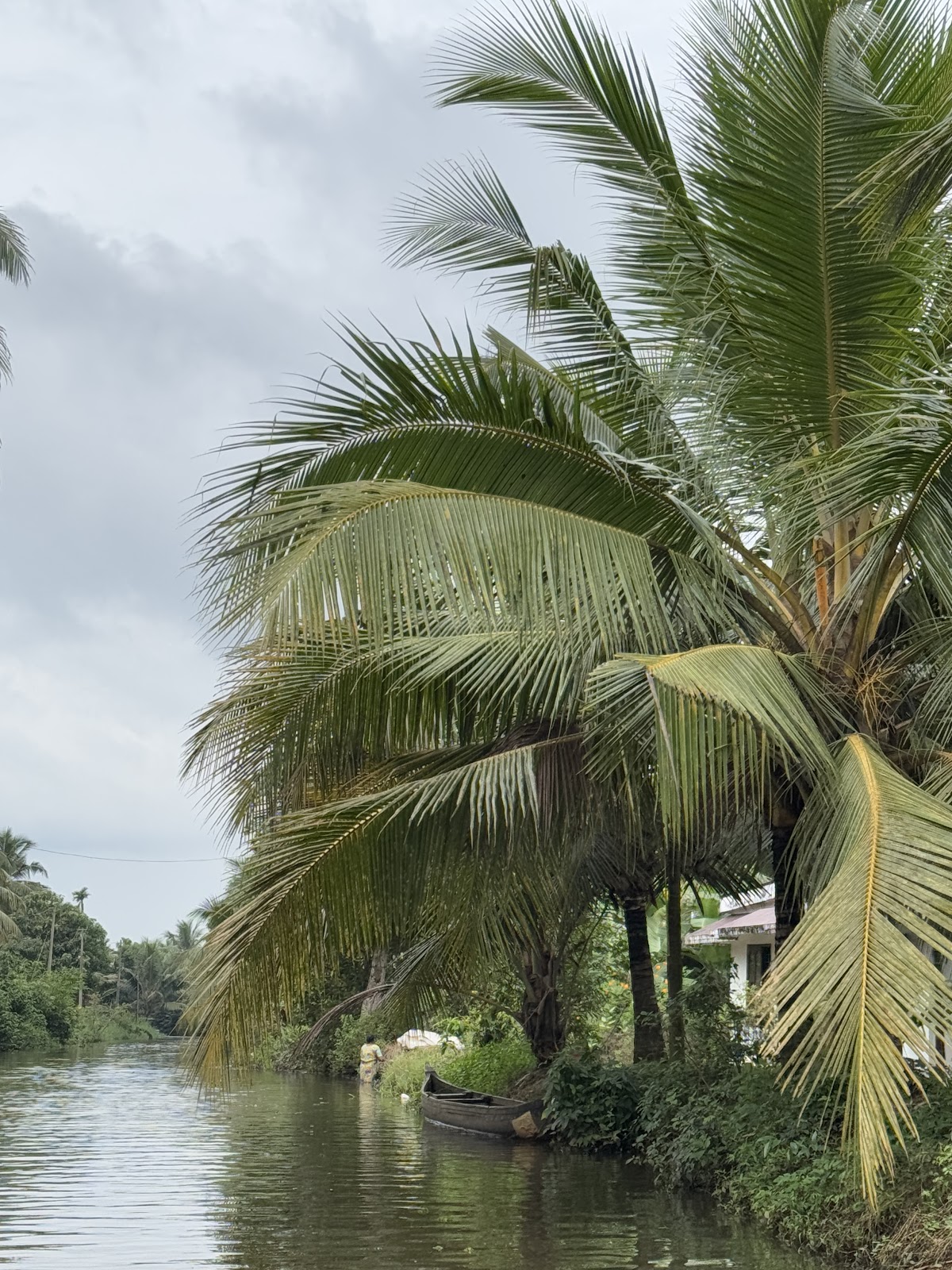 Kumarakom Backwaters