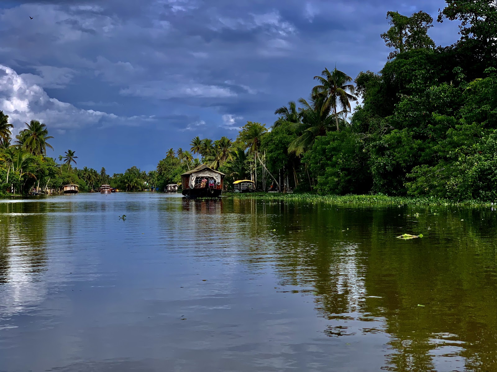 Kumarakom Bird Sanctuary
