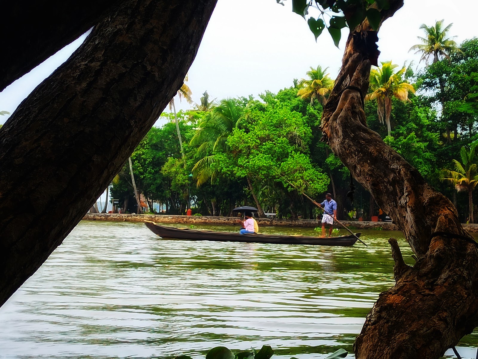 Kumarakom Bird Sanctuary