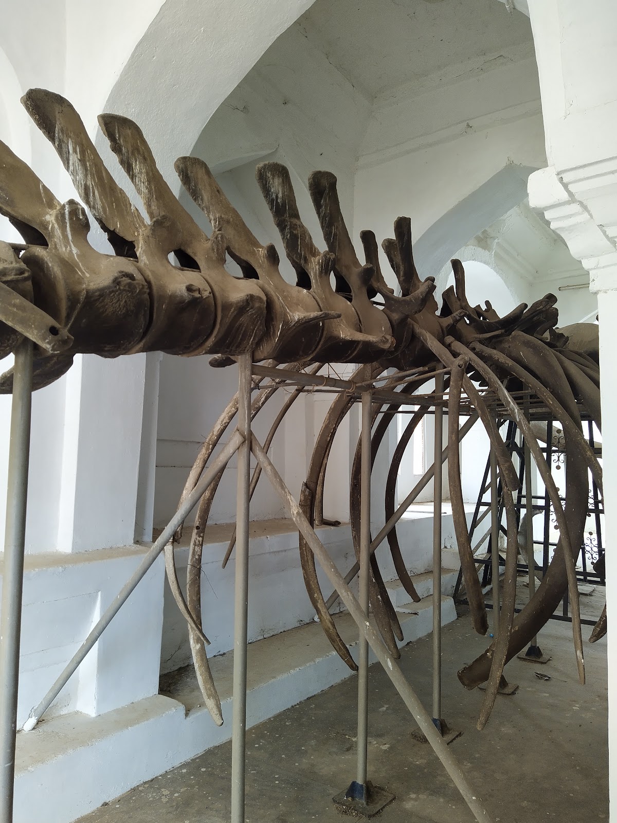 Saraswathi Mahal Library