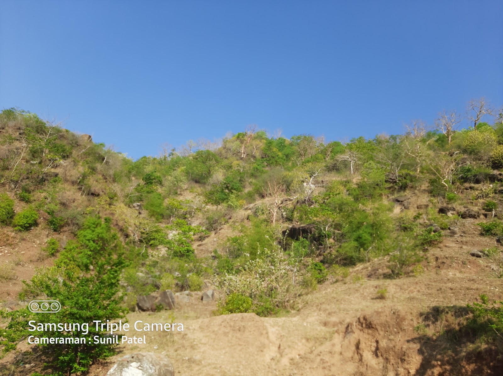 Kumbhalgarh Leopard Reserve