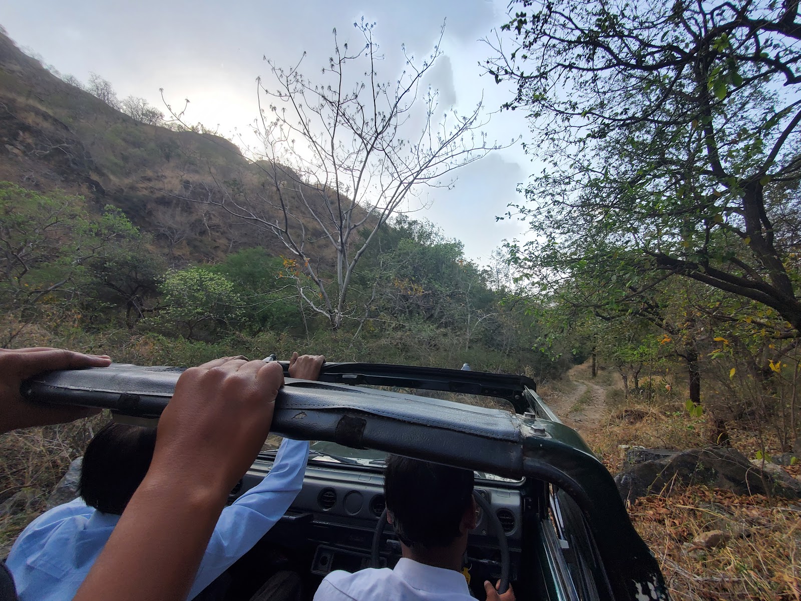 Kumbhalgarh Wildlife Sanctuary